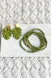 Evergreen Bundle