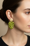 Evergreen Bundle