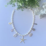 Seashore Dreams